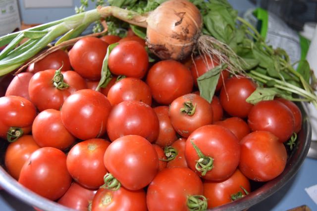 teg tomatoes.jpg
