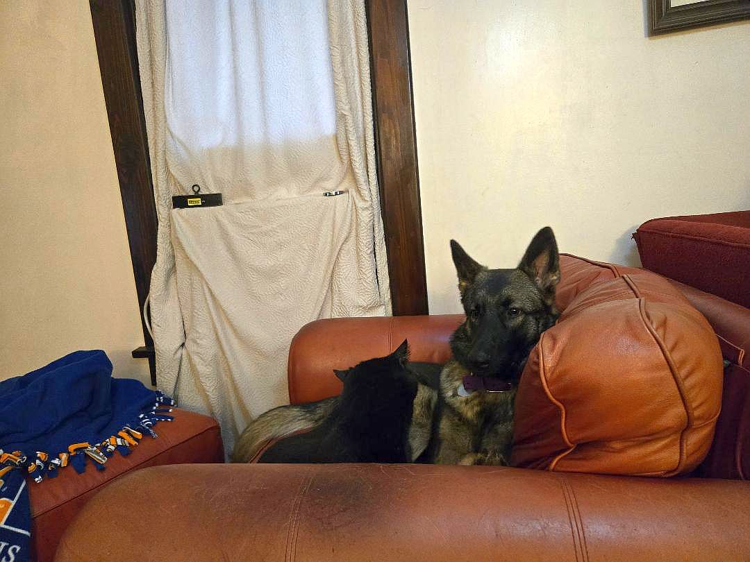 TEgan & Crazy Cat, 04-27-26.jpg