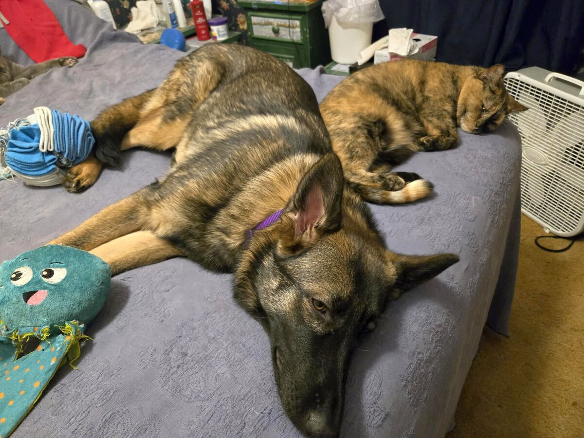 Tegan & Lynx, 03-13-26.jpg