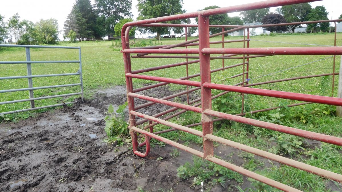 Temporary fence repair, 07-06-19, #1.jpg