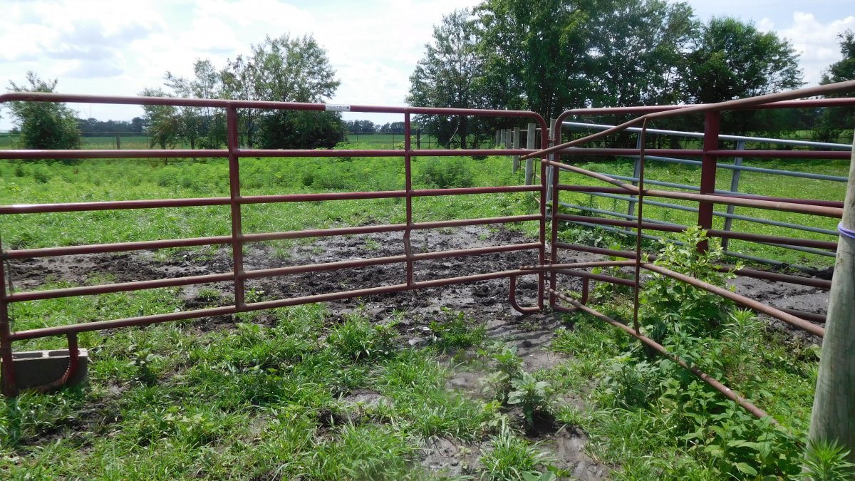 Temporary fence repair, 07-06-19, #2.jpg