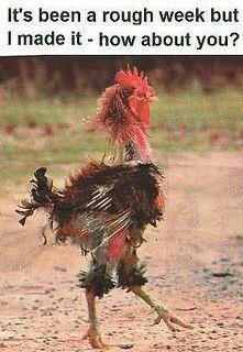 TGIF Chicken.jpg
