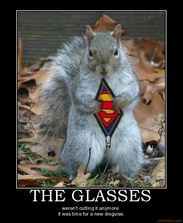 the-glasses-superman-squirrel-hide-clark-kent-demotivational-poster-1273121096.jpg