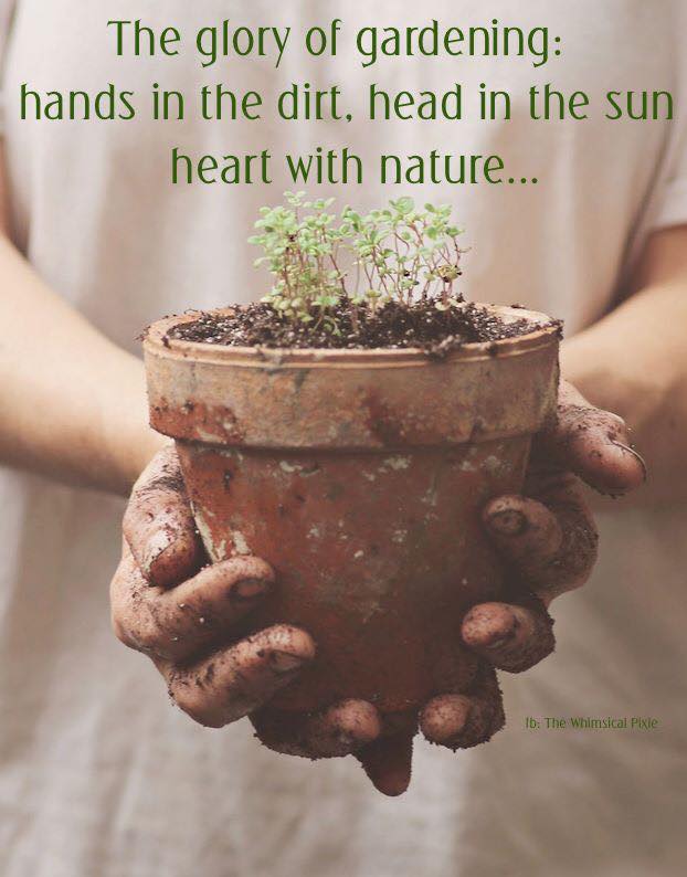the glory of gardening.jpg