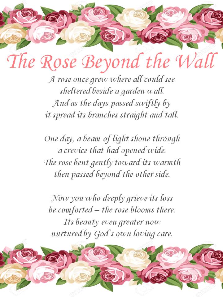 The Rose Beyond the Wall.jpg
