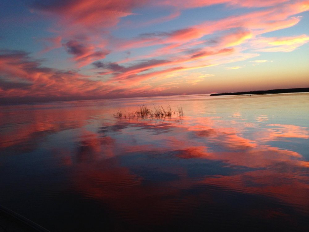 The View.jpg