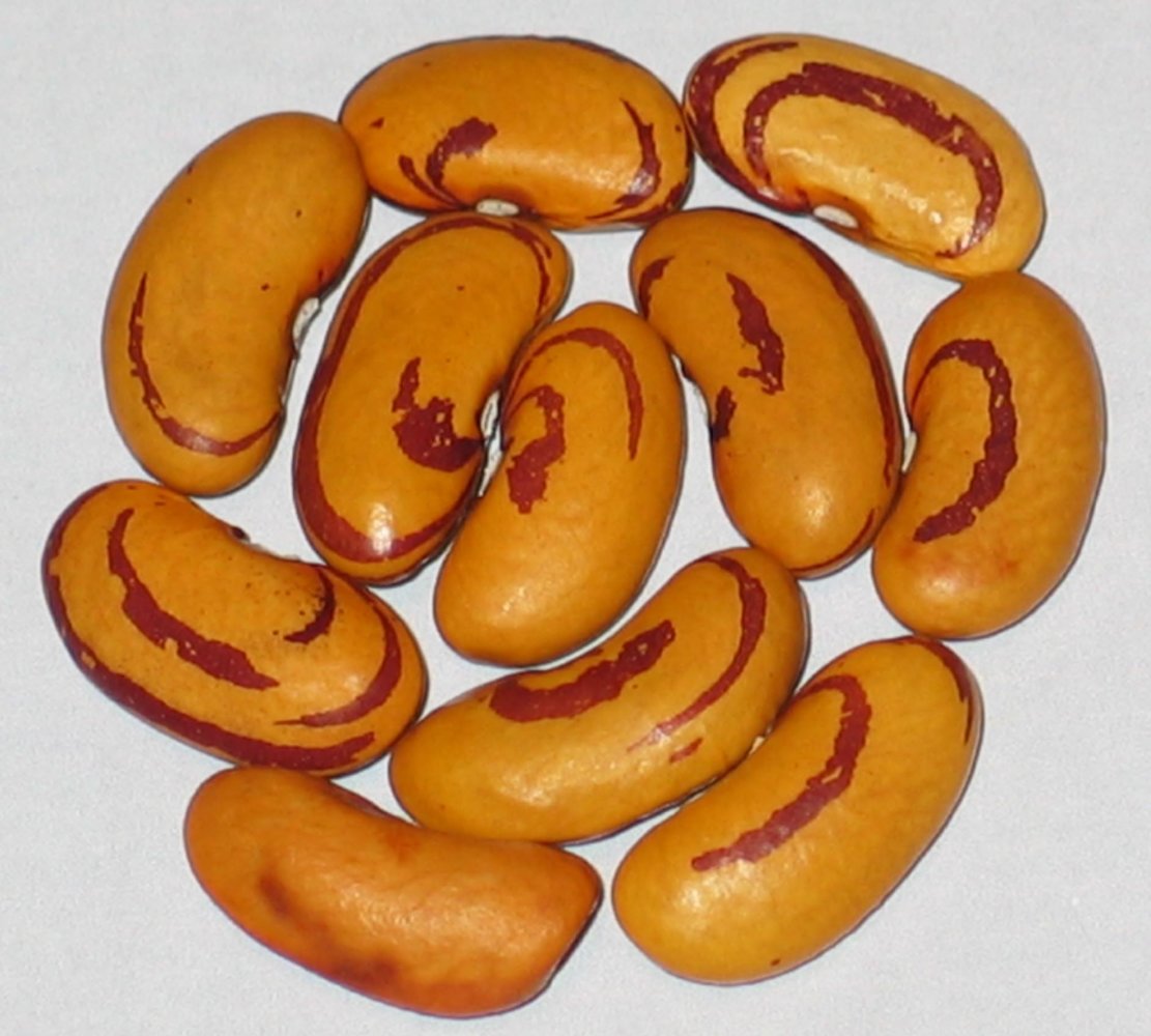 Tiger Eye.jpg