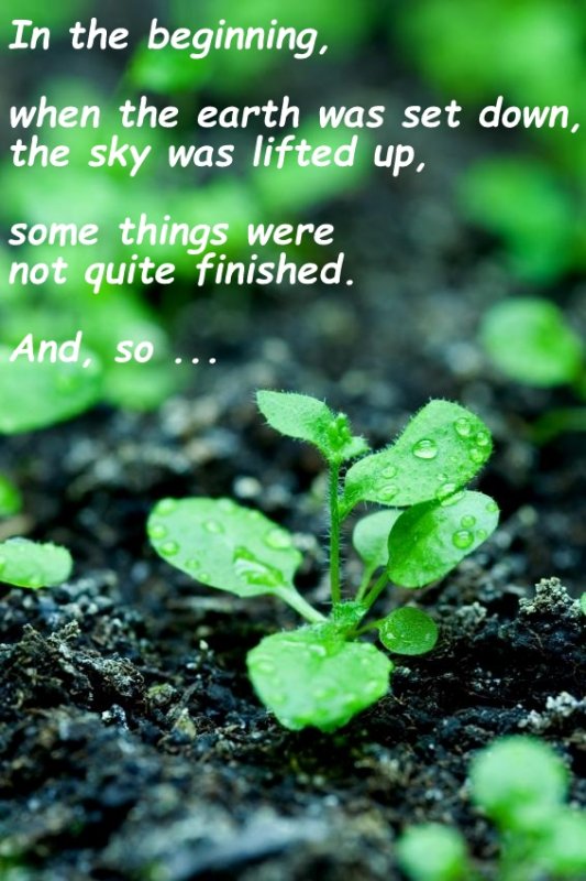 tiny plant.jpg