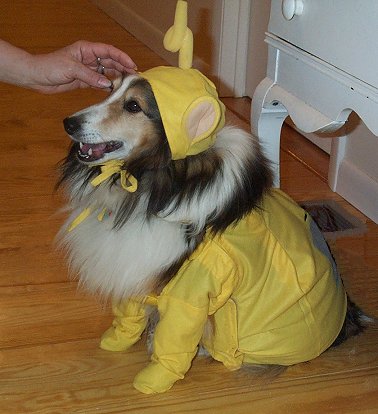 TippiTeletubbie3.jpg