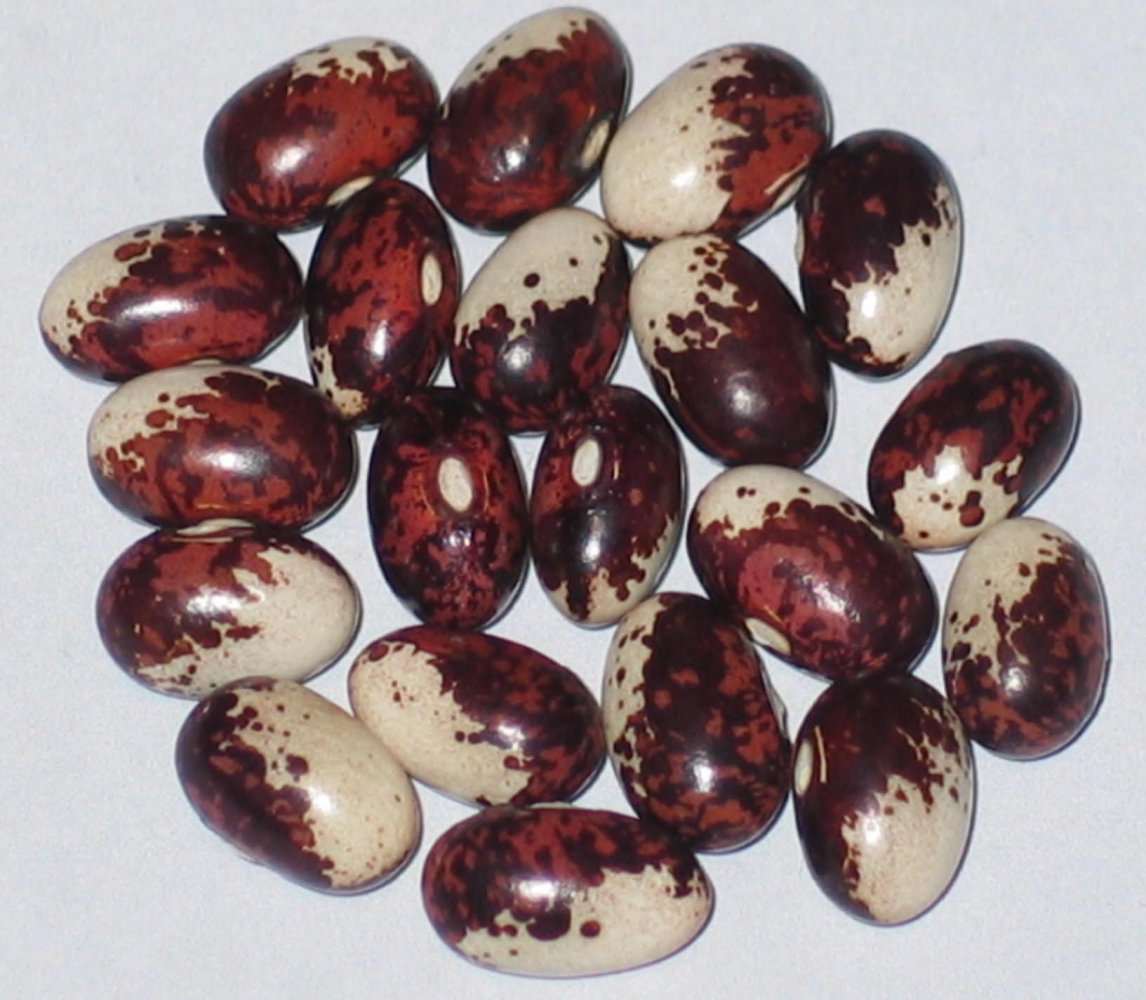 Tjana Special.jpg