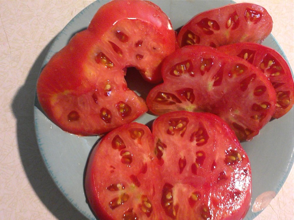 Tomato GerJOhn sliced.jpg