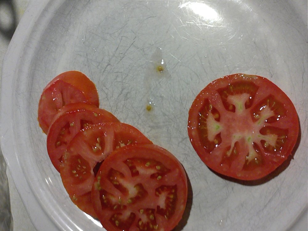 Tomato homestead sliced.jpg