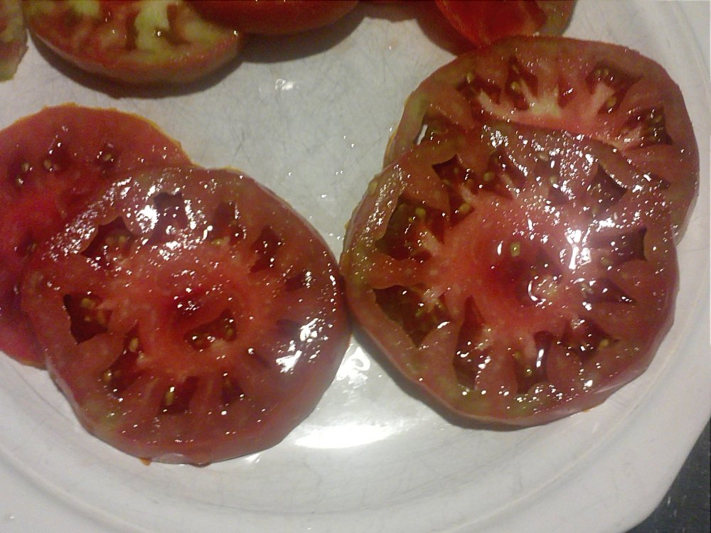 Tomato Paul Robeson.jpg
