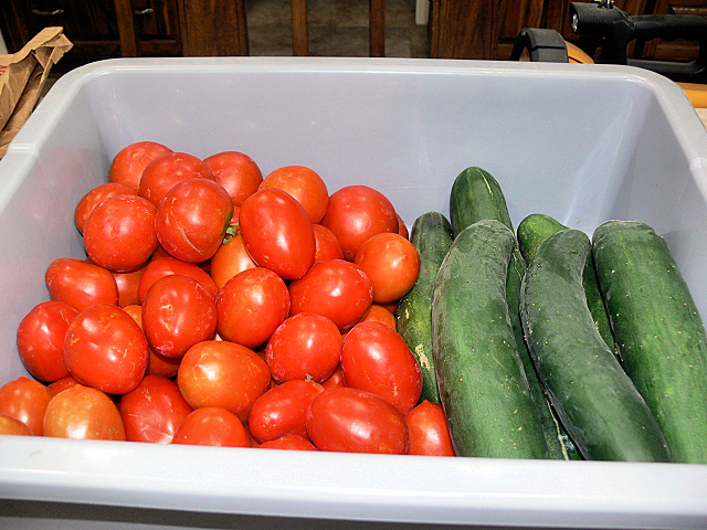 Tomato_Cuke_Harvest_060617.jpg