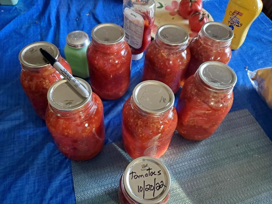Tomatoes canned 10-20-22.jpg