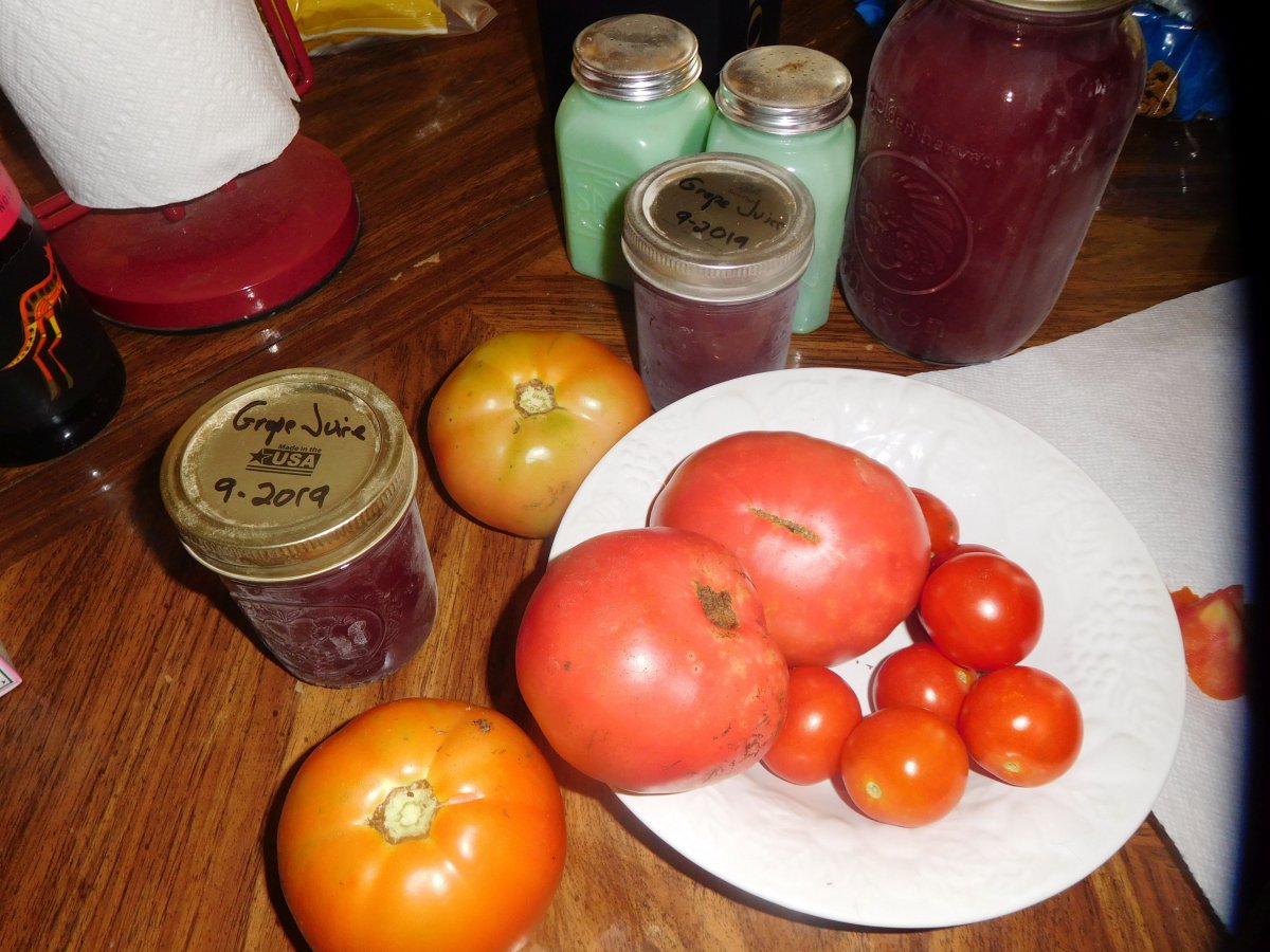 Tomatoes Finally turning, 09-06-19.jpg