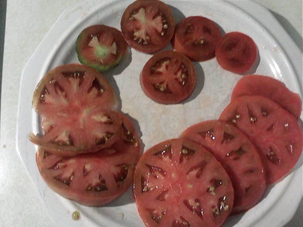 Tomatoes sliced.jpg