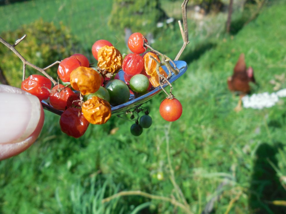 Tomatoes Spoon.JPG