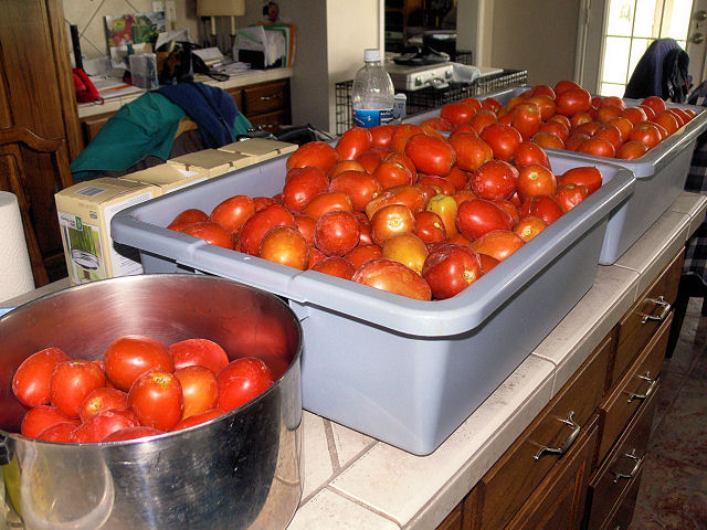 Tomatoes_060312_1.jpg
