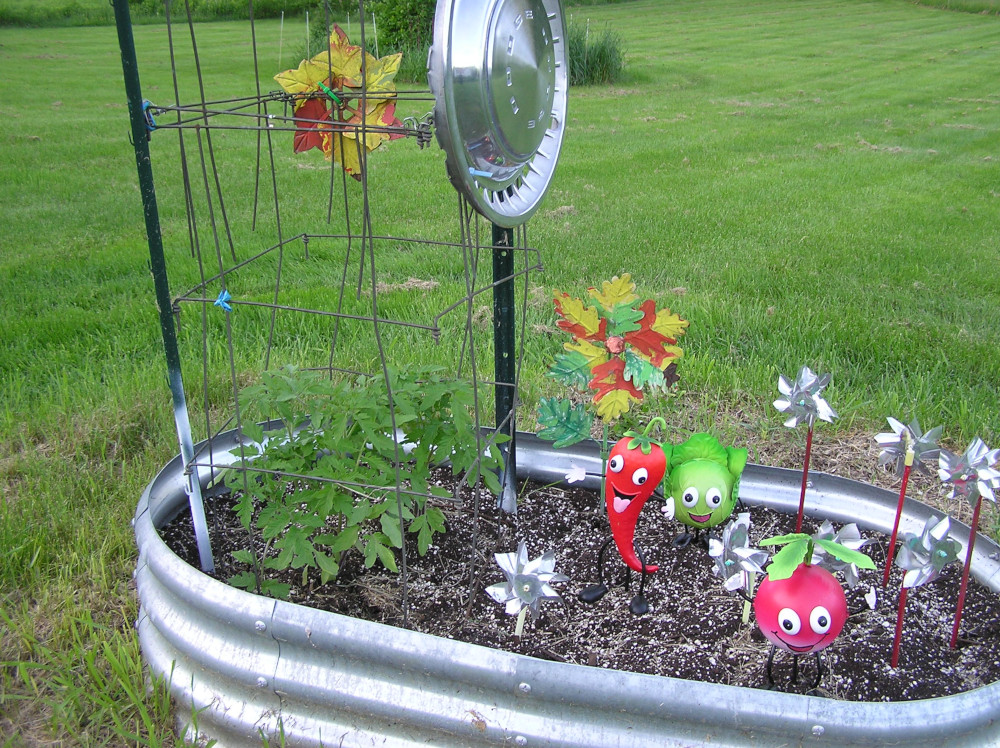 TomatoPlants.JPG