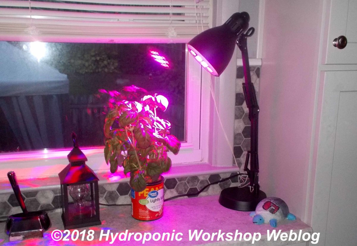 TR Herb Garden.jpg