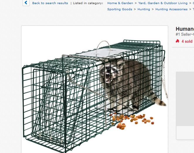 trap.JPG
