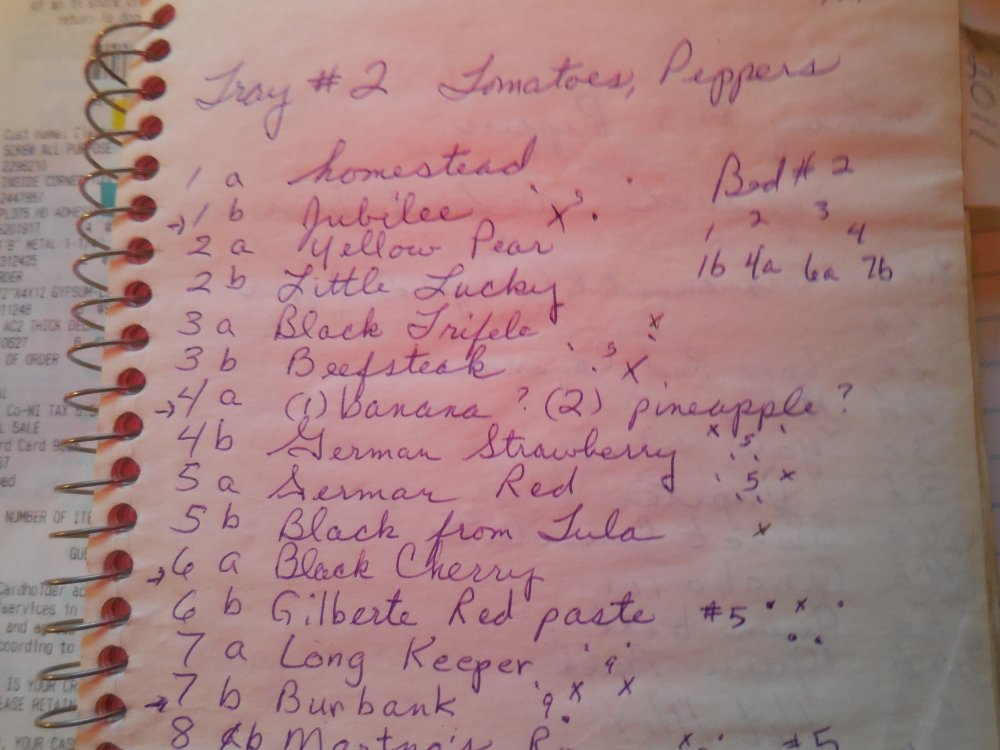Tray list.JPG