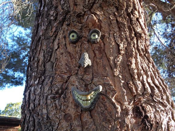 Tree Face email.JPG