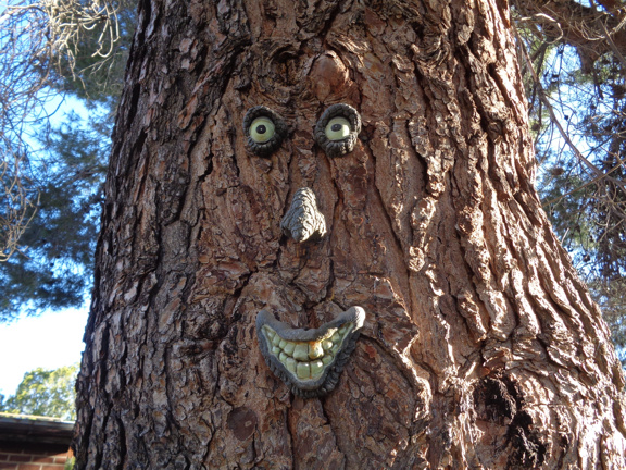 Tree Face email.JPG