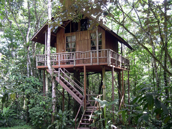 tree-houses.jpg