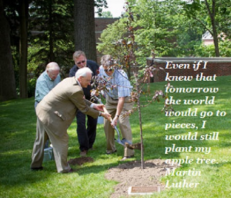 tree-planting.jpg