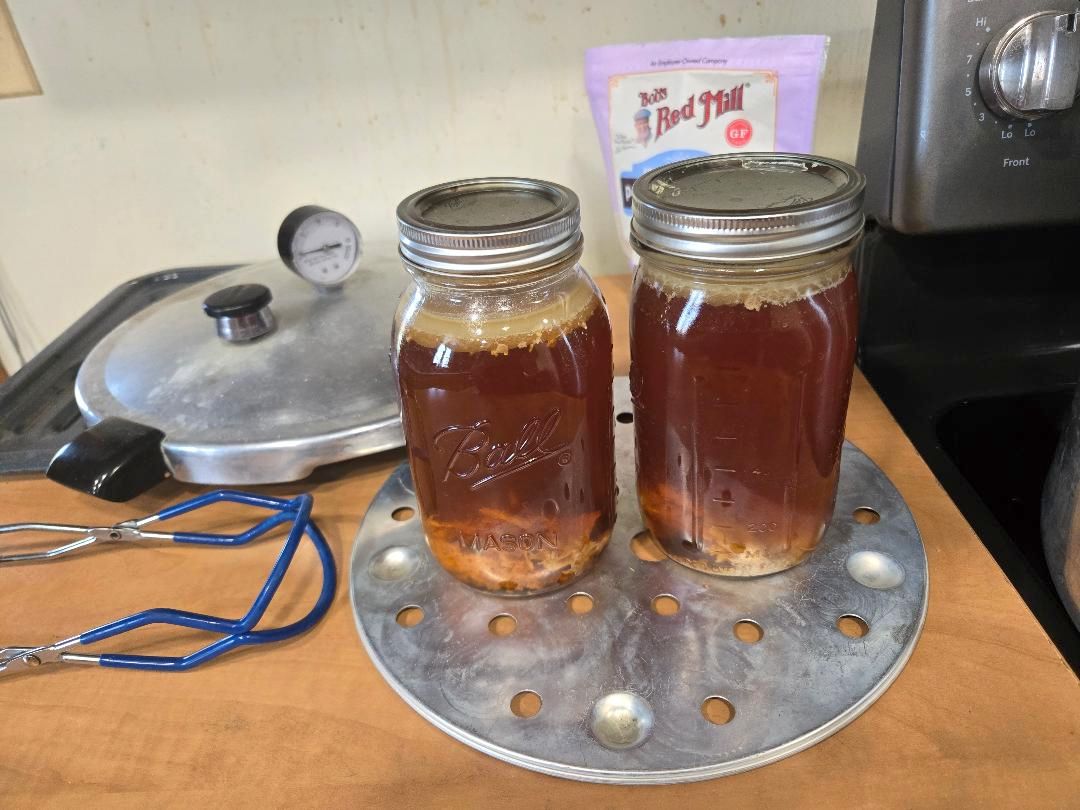 Turkey Broth, REALLY rich, 03-23-25.jpg