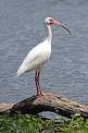 upload_2014-1-20_17-36-50.jpeg