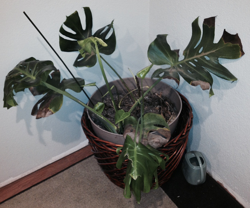 upload_2015-1-6_22-31-58.png