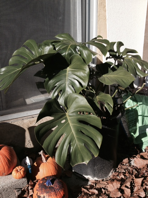 upload_2015-1-7_11-6-45.png