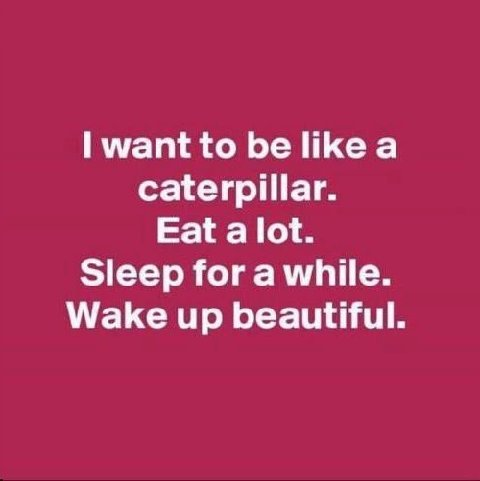 upload_2017-9-19_9-5-36.png