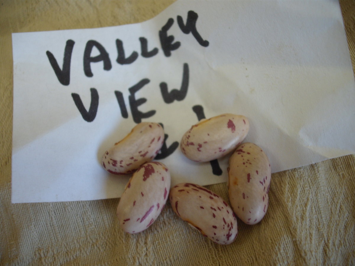 Valley View.JPG