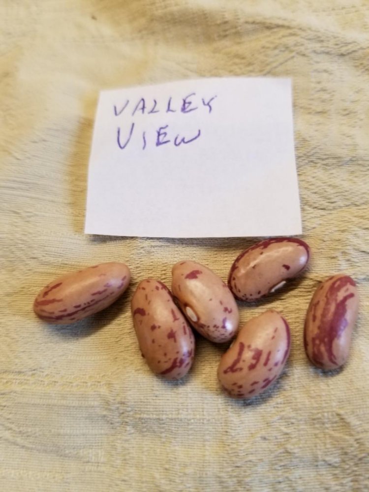Valley View.jpg