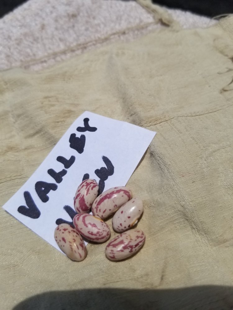 Valley View Second.jpg