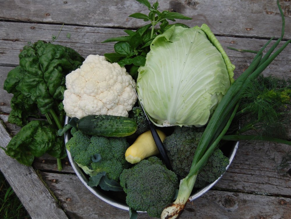 veggie bowl.jpg