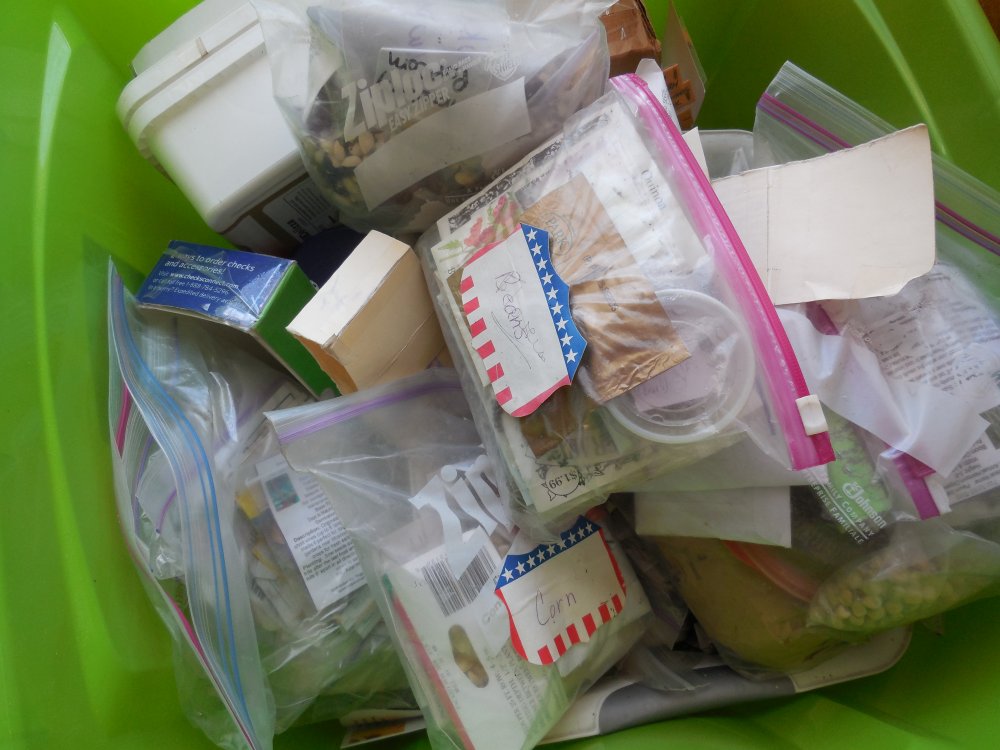 veggie seed packets.JPG