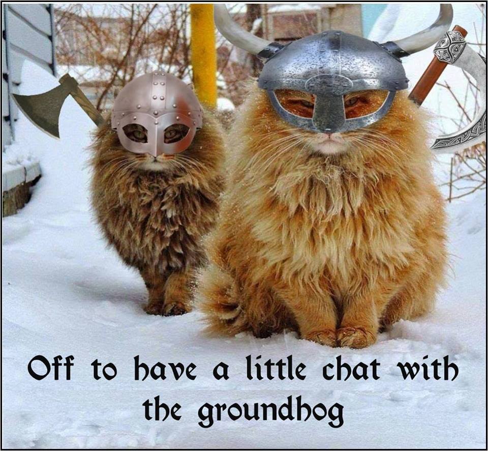 Viking Kitties VS Groundhog.jpg