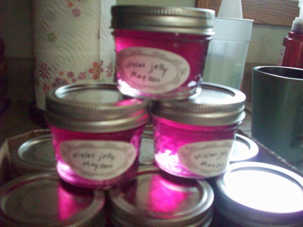 violet jelly 003.JPG