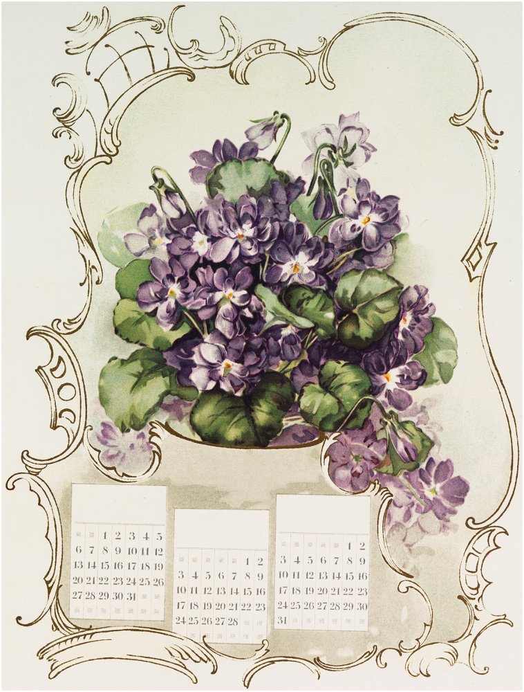 Violets-Calender-Image-GraphicsFairy.jpg