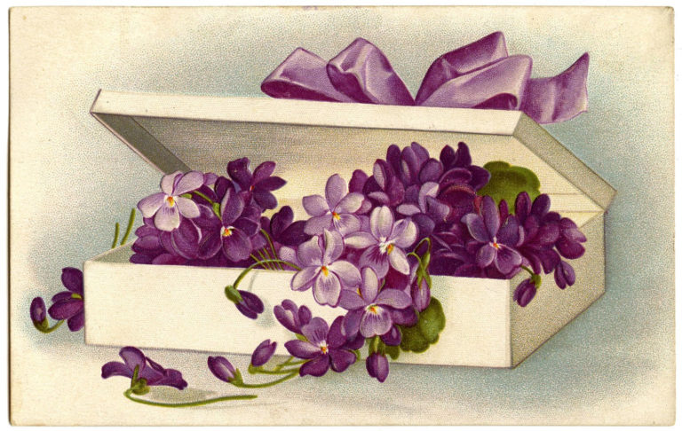 Violets-Image-Vintage-GraphicsFairy-768x486.jpg