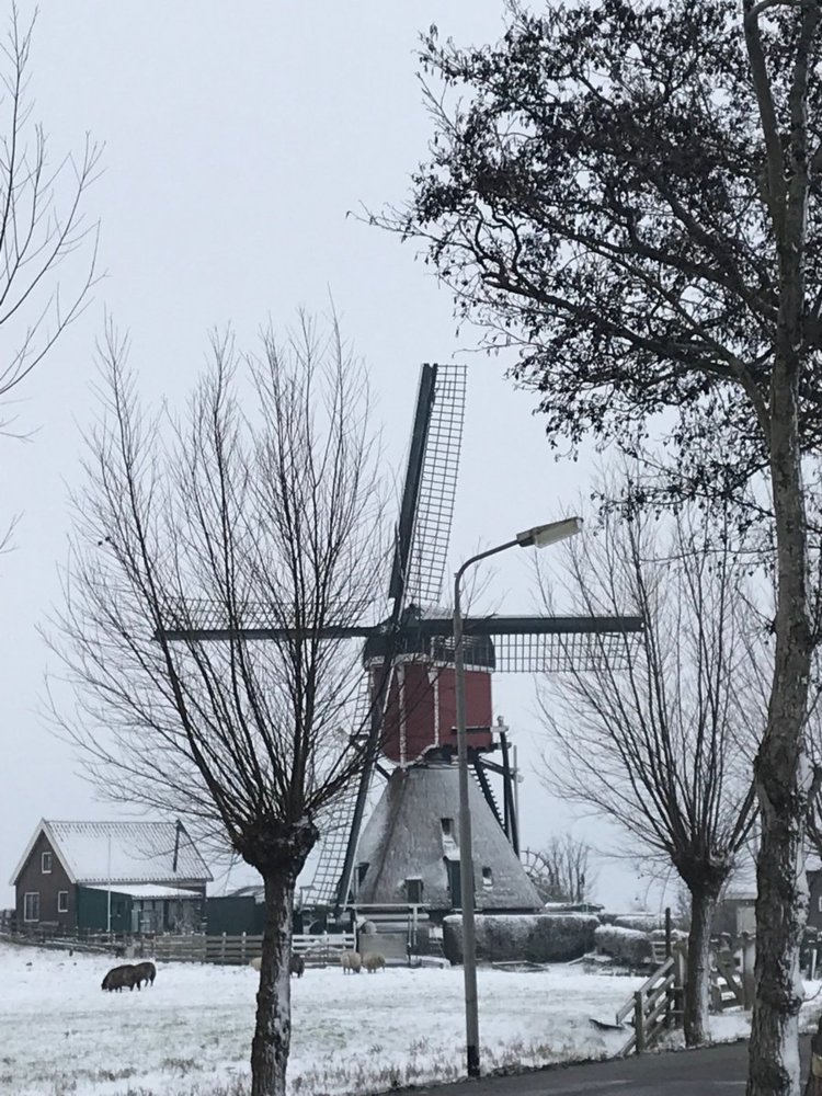 Vlietmolen.jpg