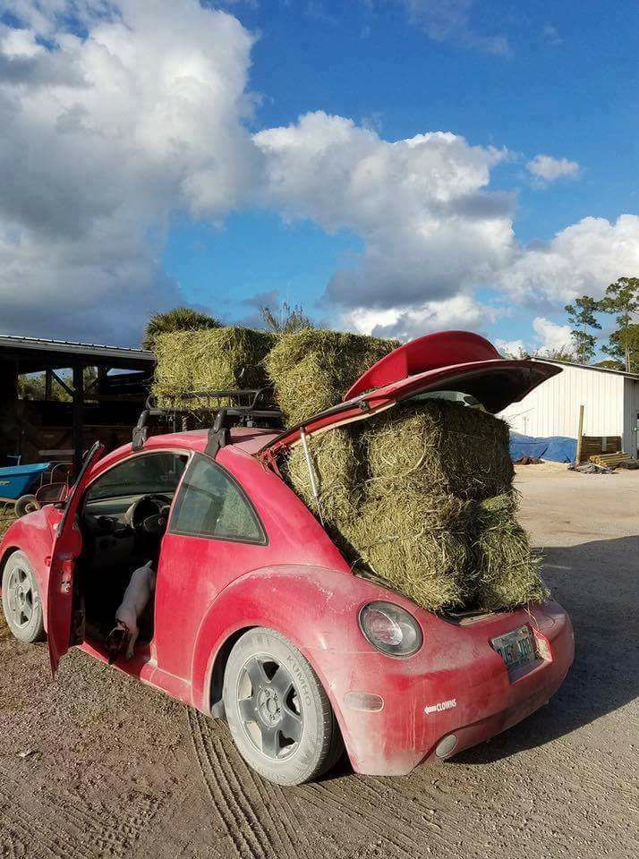 volkswagan hay wagon.jpg