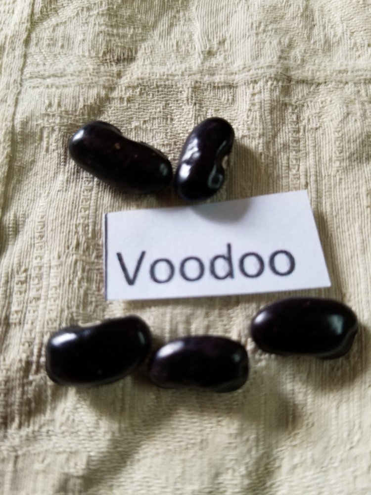 Voodoo.jpg