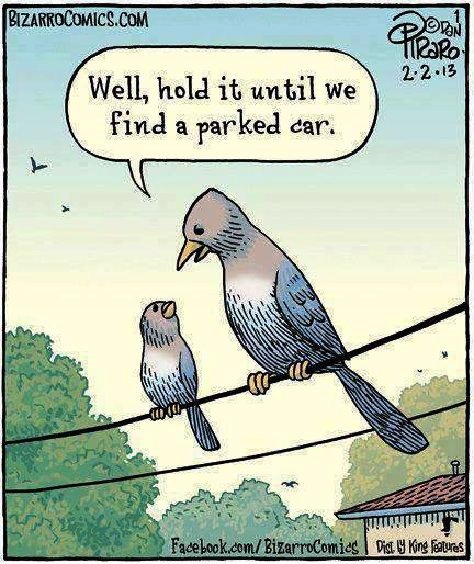 wait for car.jpg