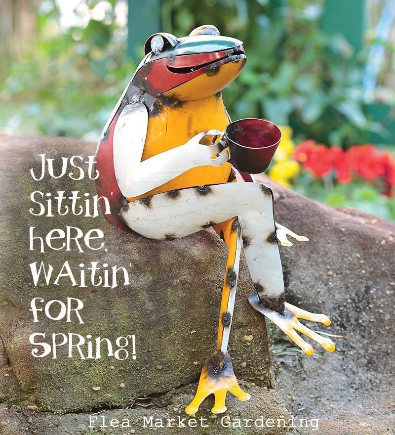 waiting for spring.jpg